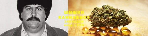 твердый Алексин