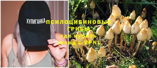 твердый Алексин