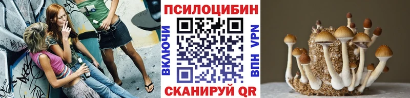где найти   Нижний Ломов  Галлюциногенные грибы Psilocybine cubensis 
